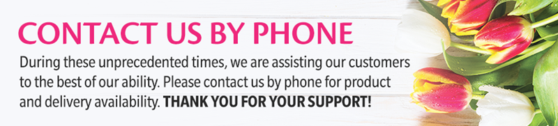 920x208-ContactUsByPhone_(1)